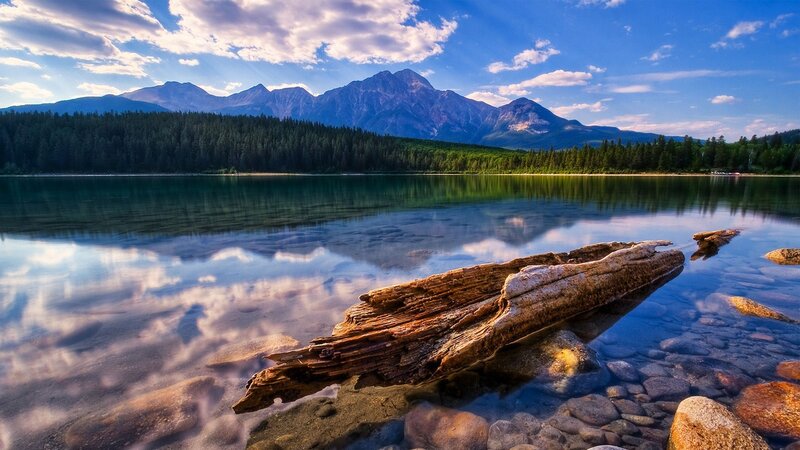 Driftwood in Lake — Blue, Serene, Afternoon