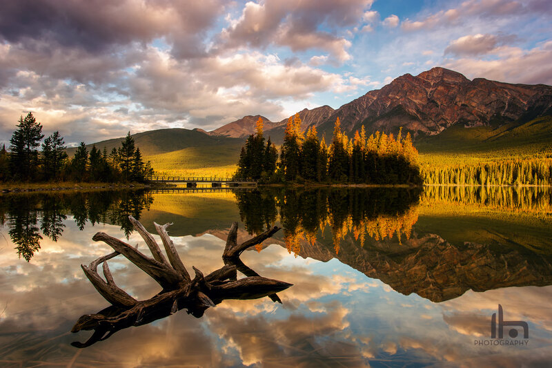 Driftwood in Lake — Blue, Serene, Sunset
