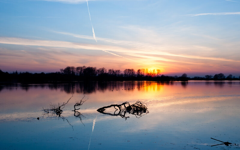 Driftwood in Lake — Blue, Serene