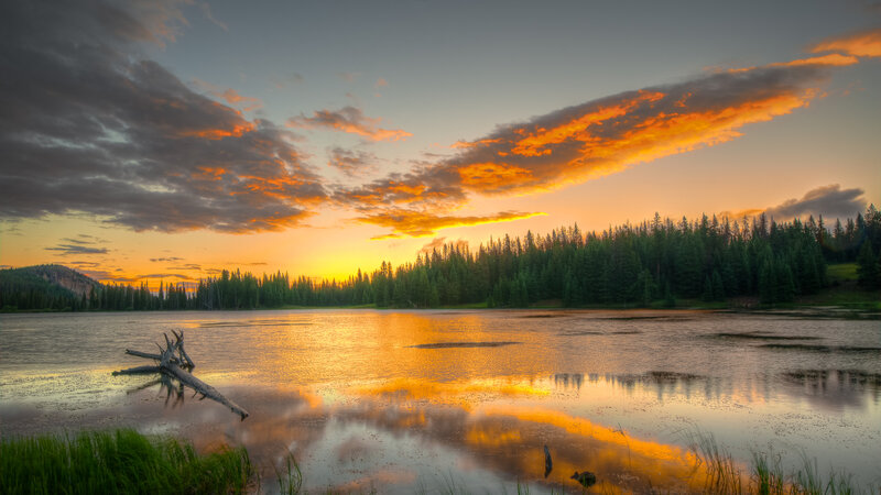 Driftwood in Lake — Orange, Serene, Sunset
