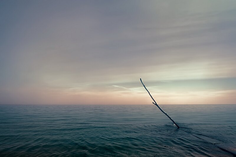 Driftwood in Ocean — Blue, Serene