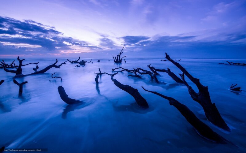 Driftwood in Ocean — Blue