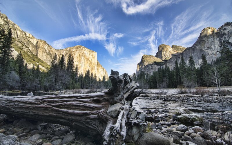 Driftwood in River — Blue, Serene