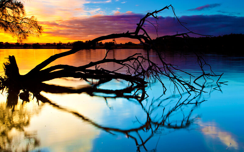 Driftwood in River — Blue