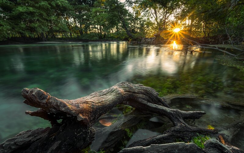 Driftwood in River — Green, Serene, Sunset
