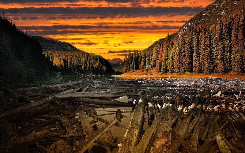 Driftwood in River — Orange, Dramatic, Sunset, Photograph