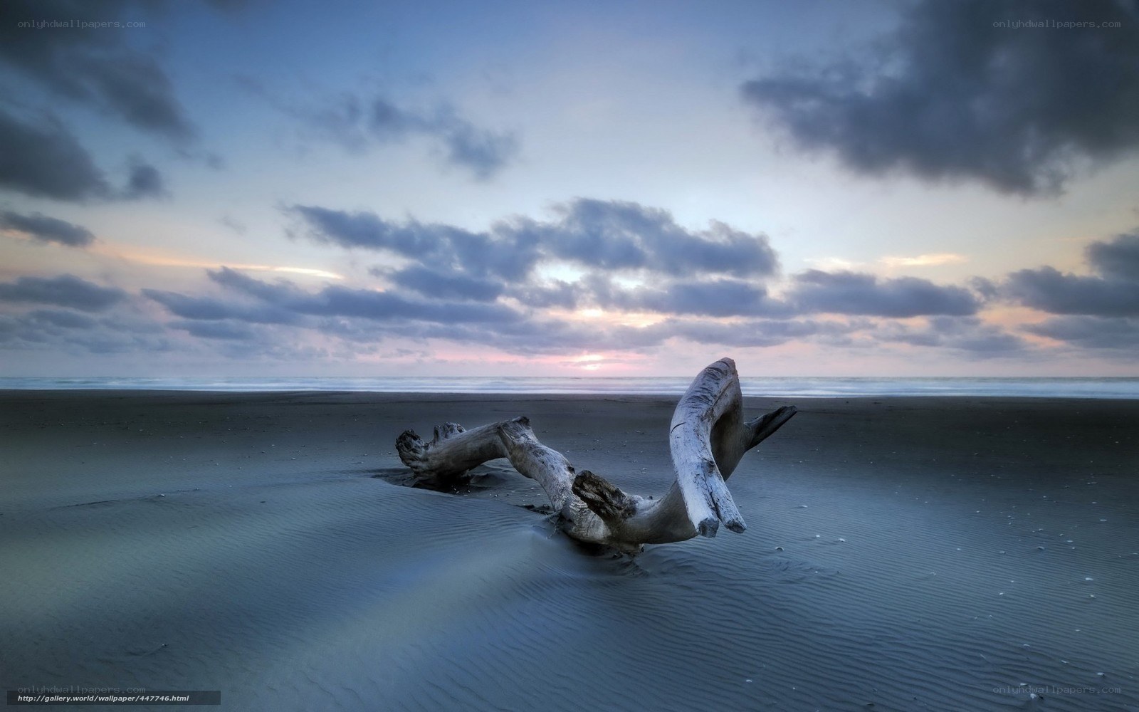 Driftwood on a beach at dusk