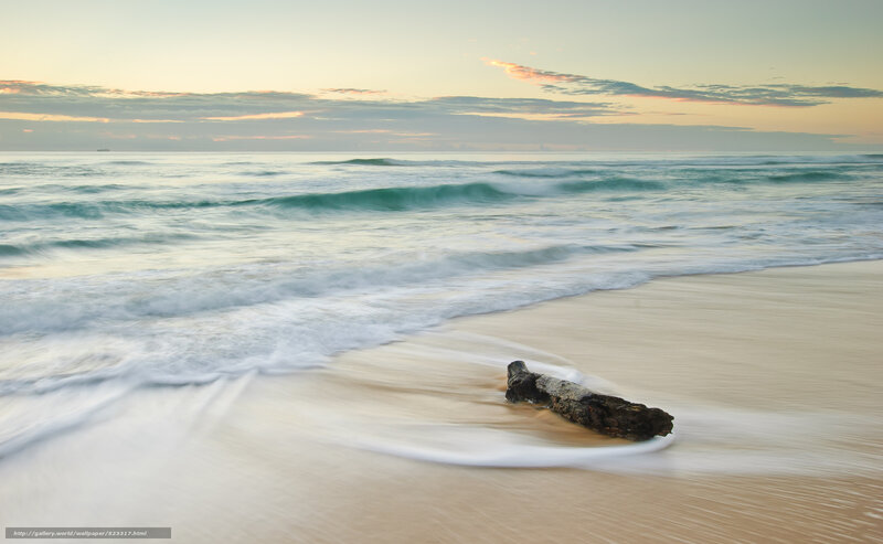 Driftwood on a beach at sunrise