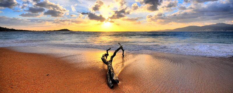 Driftwood on a beach at sunset