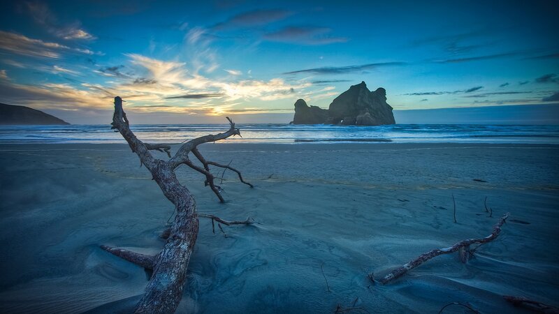 Driftwood on a beach at sunset