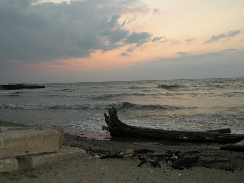 Driftwood on a beach at sunset