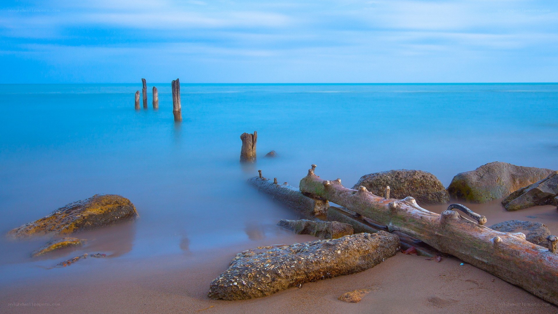 Driftwood on a calm beach