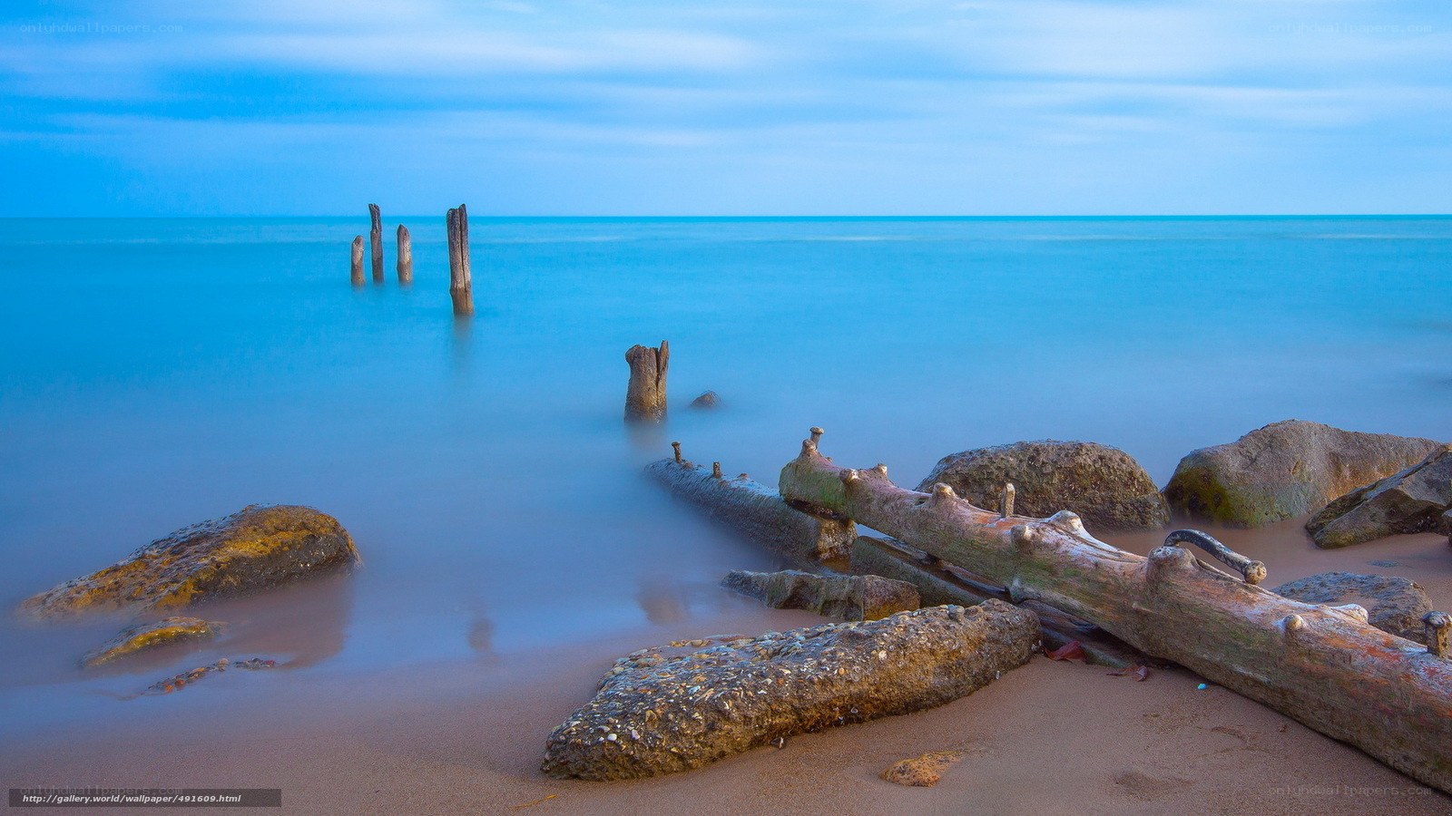 Driftwood on a calm beach
