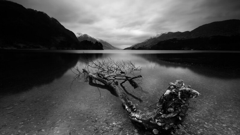 Driftwood on a calm lake