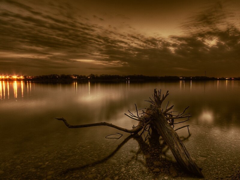 Driftwood on a calm lake at dusk