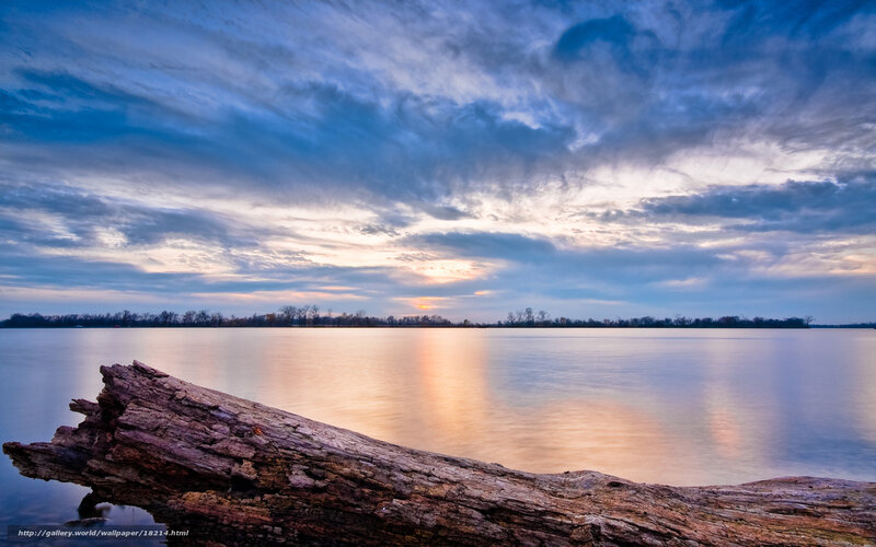 Driftwood on a calm lake at sunset