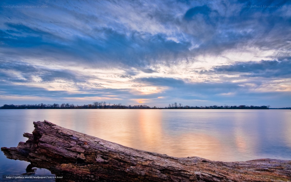 Driftwood on a calm lake at sunset