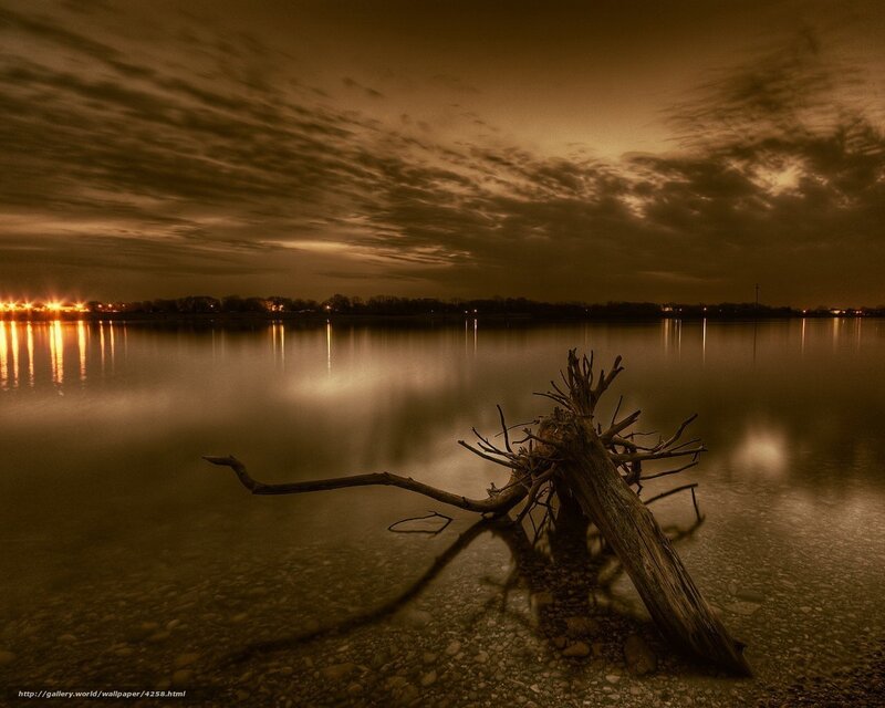 Driftwood on a calm lake