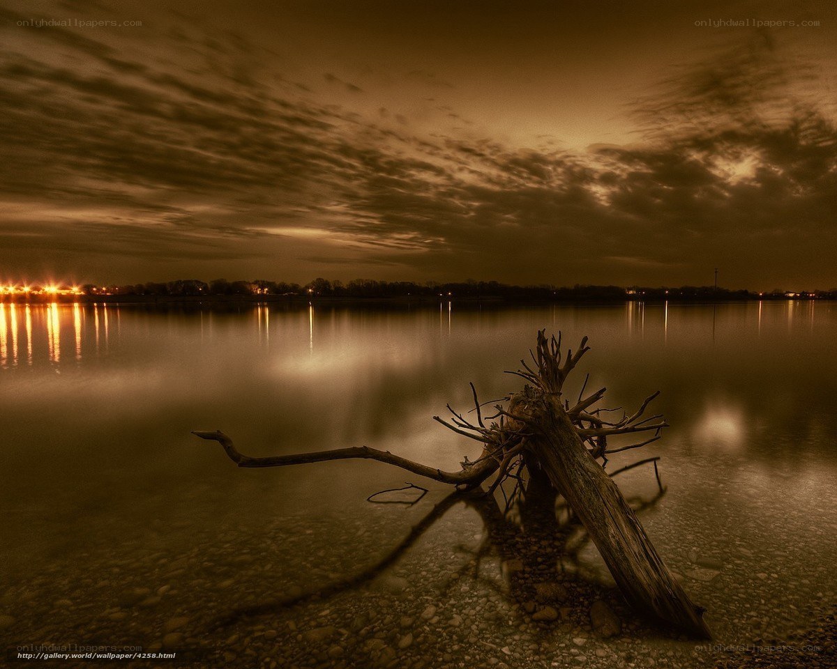 Driftwood on a calm lake