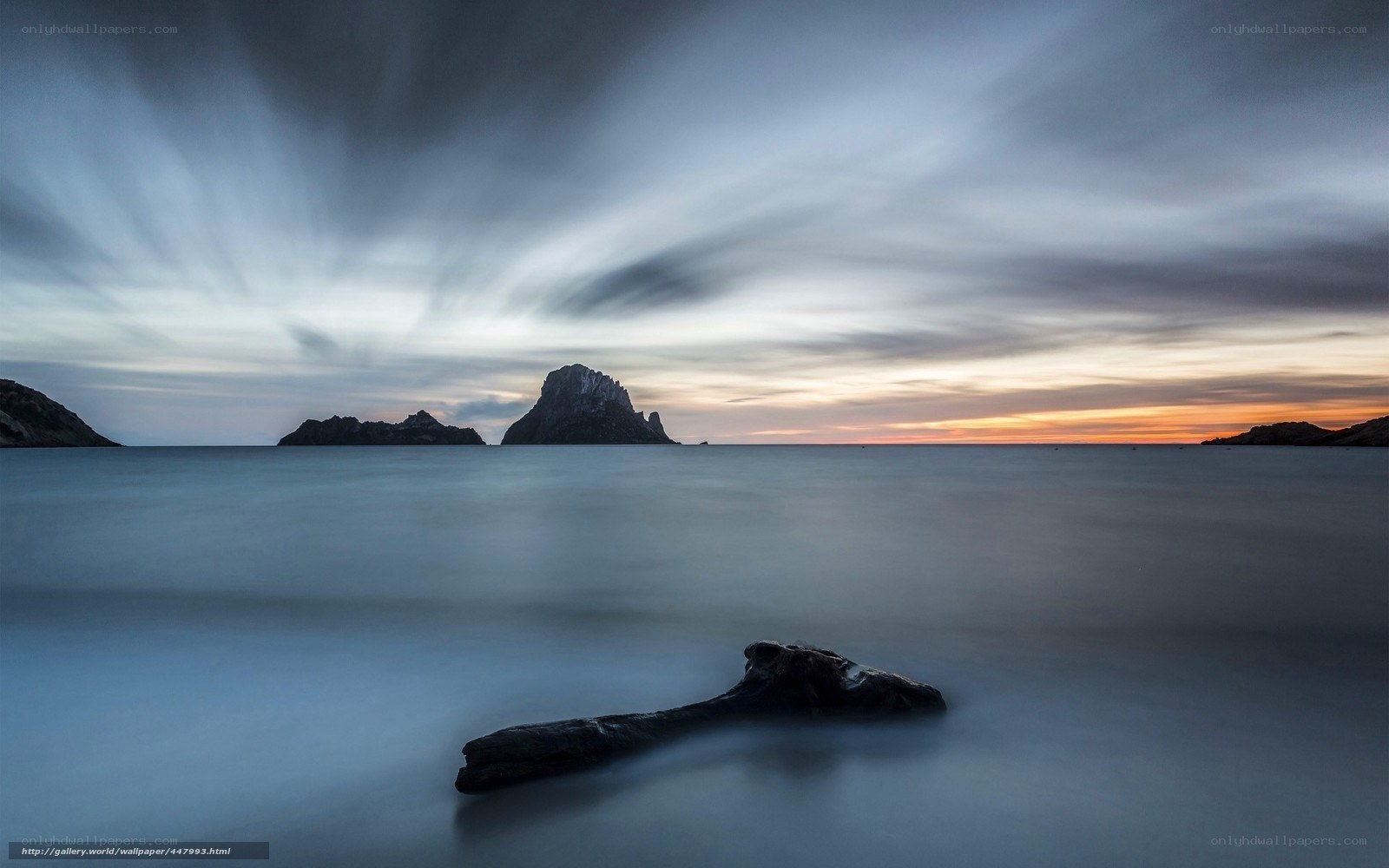 Driftwood on a calm sea