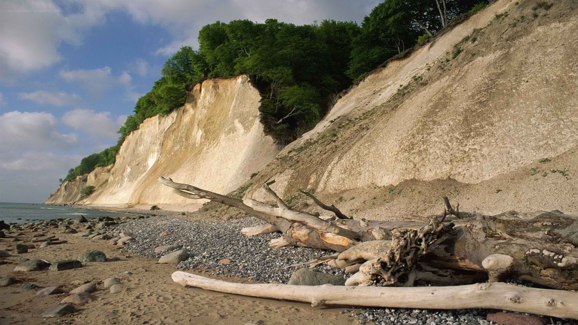 Driftwood on a cliffside beach