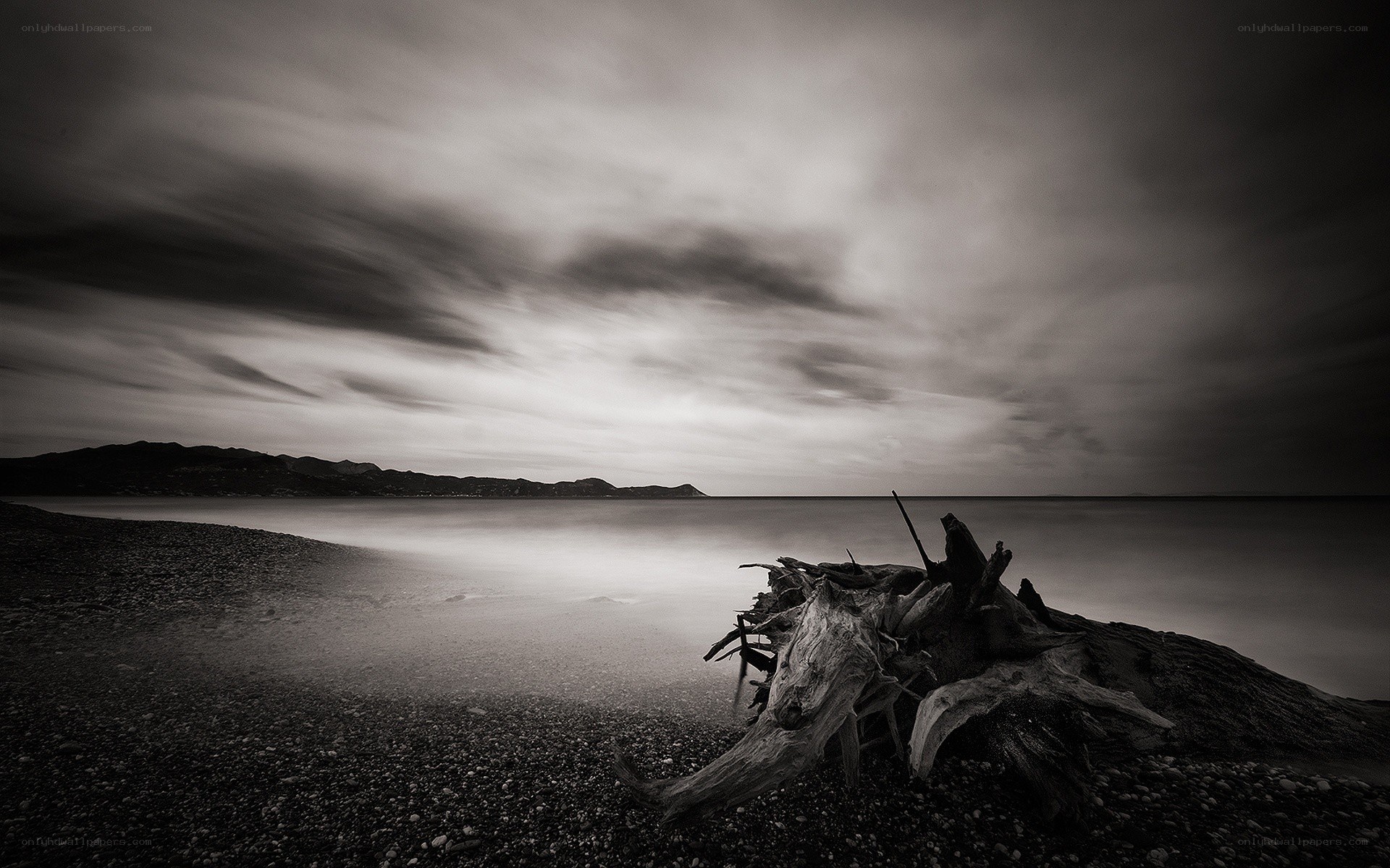 Driftwood on a pebble beach