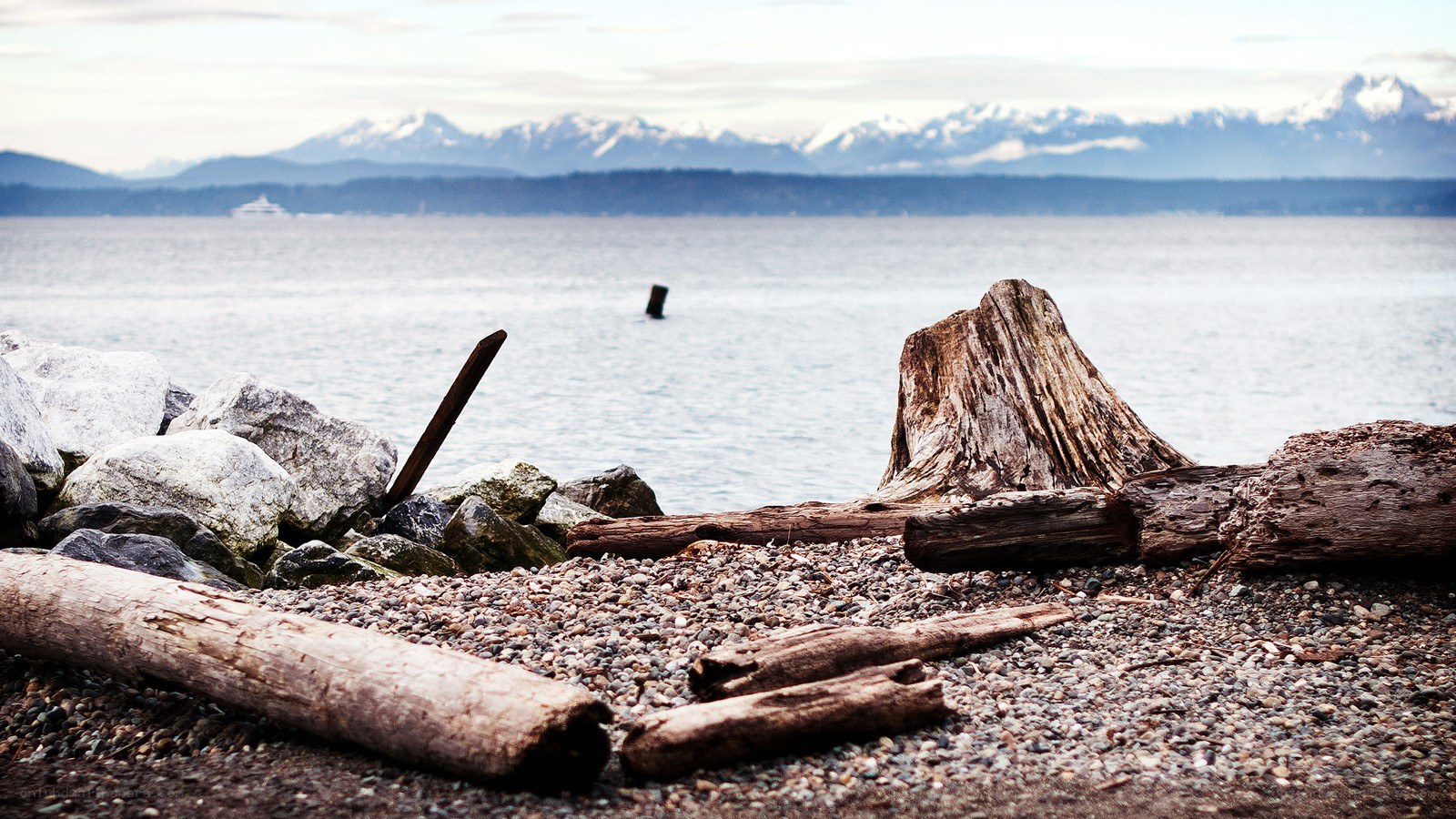 Driftwood on a pebble beach
