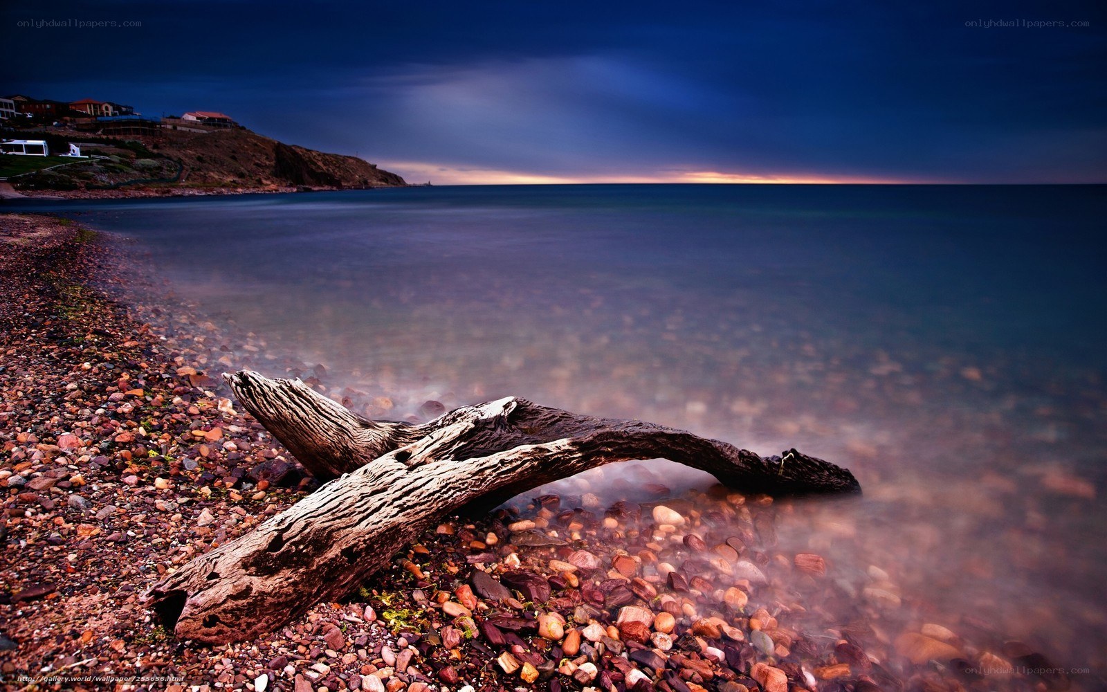 Driftwood on a pebble beach