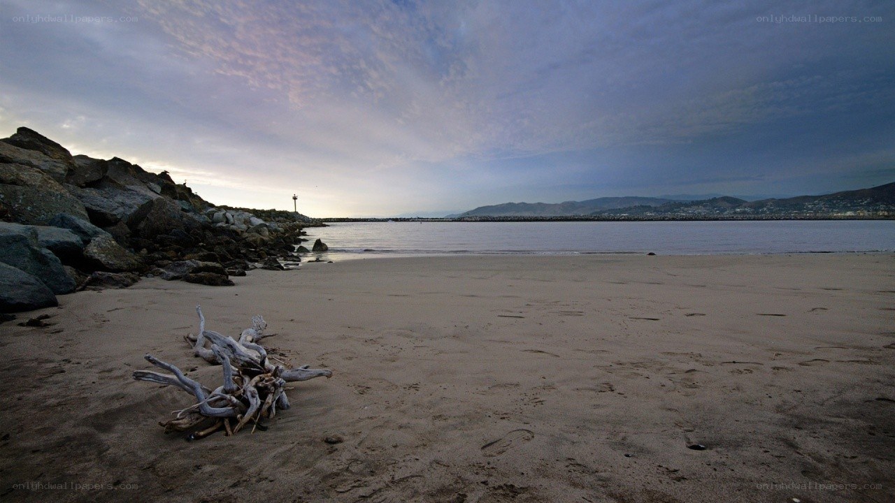 Driftwood on a quiet beach