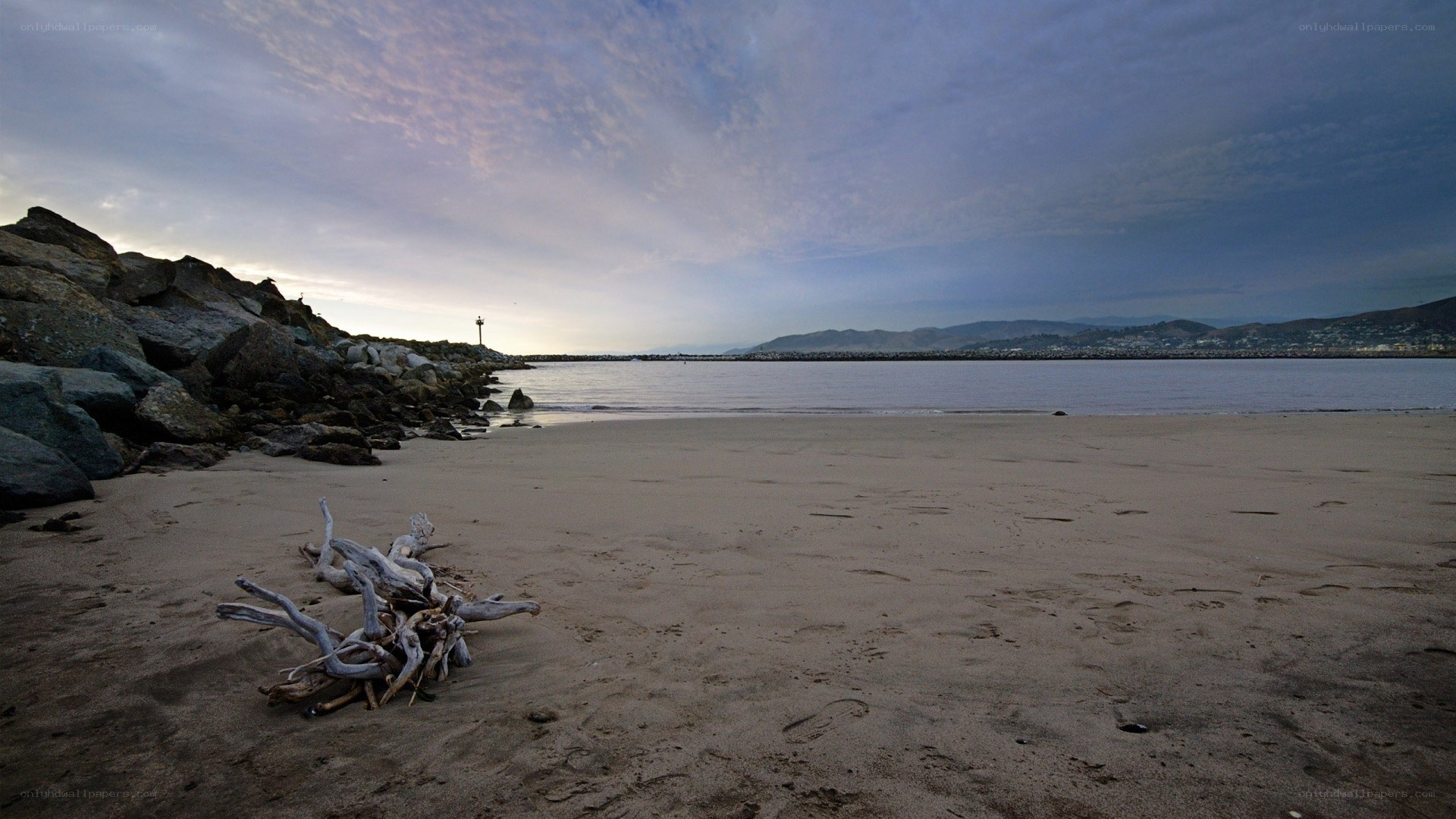 Driftwood on a quiet beach