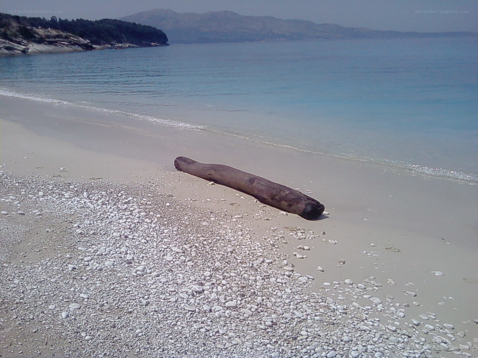 Driftwood on a quiet beach