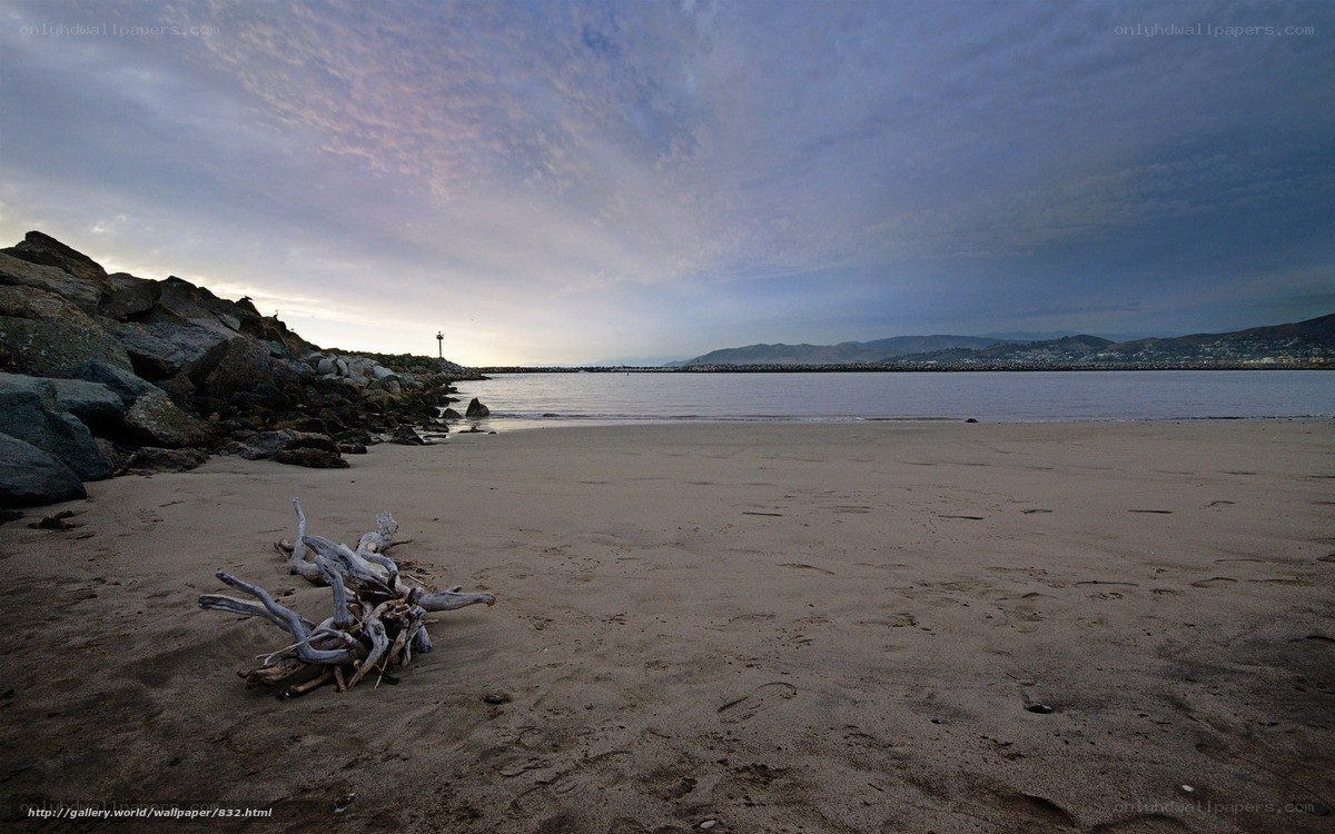 Driftwood on a quiet beach