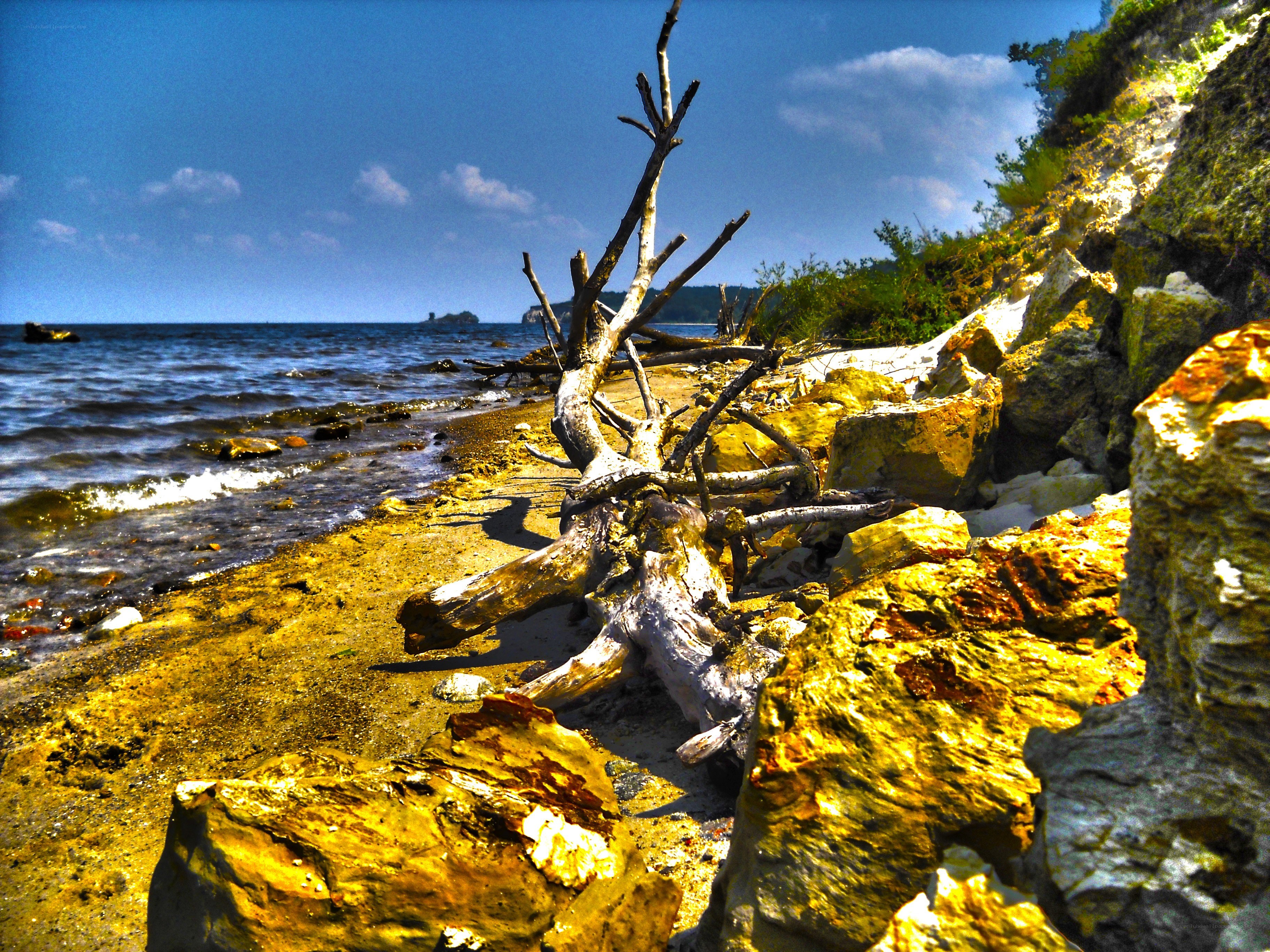 Driftwood on a rocky beach