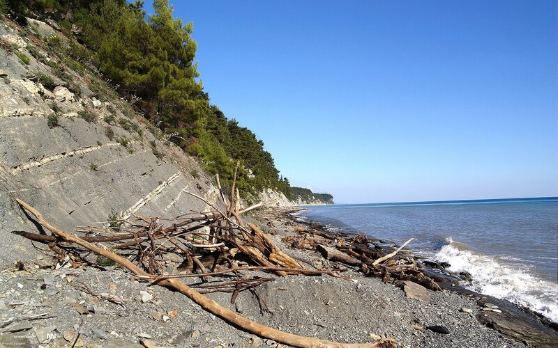 Driftwood on a rocky shore