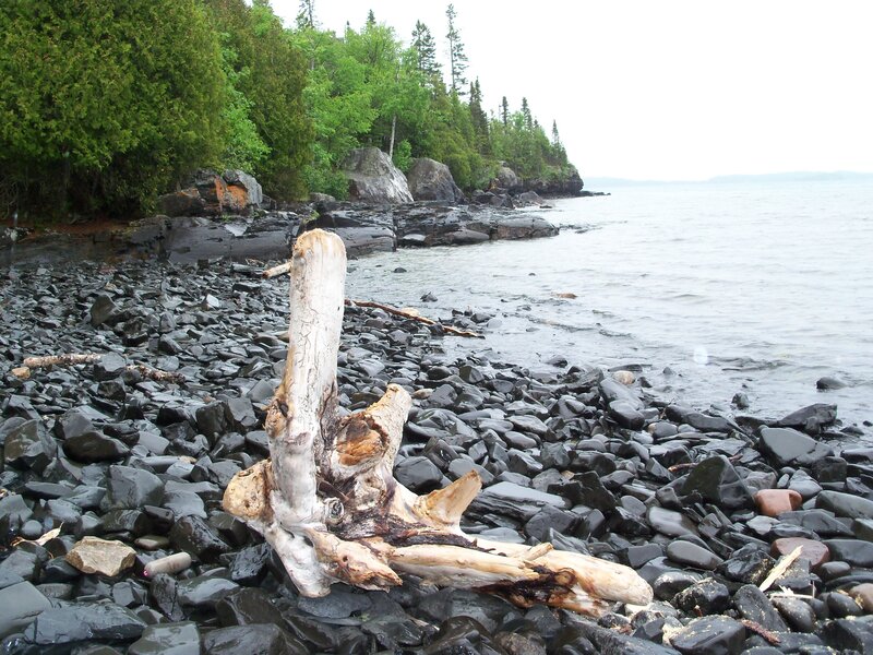 Driftwood on a rocky shore