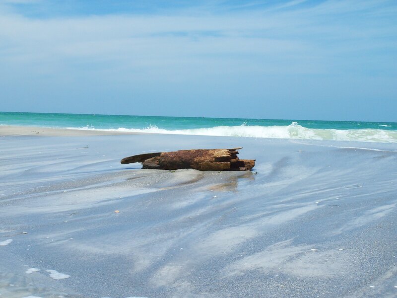 Driftwood on a sandy beach