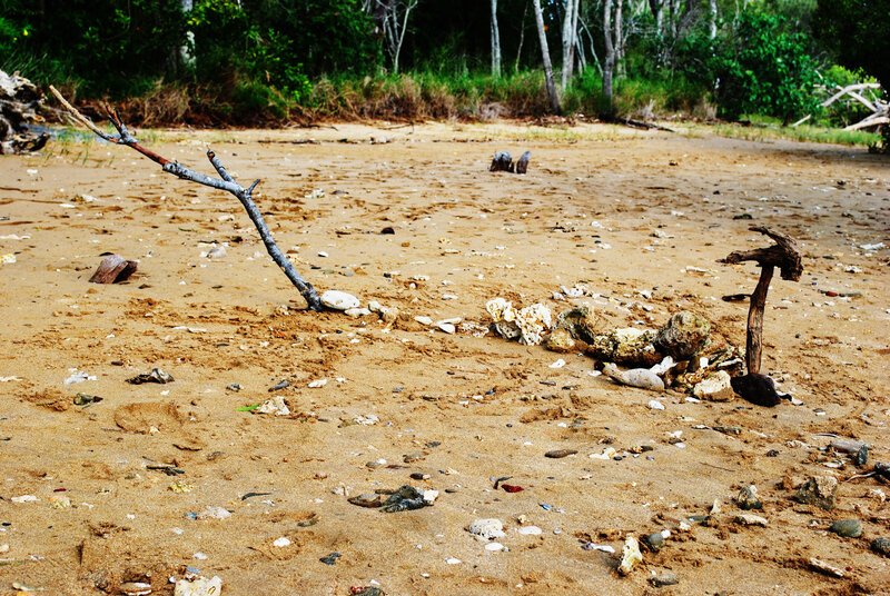 Driftwood on a sandy beach