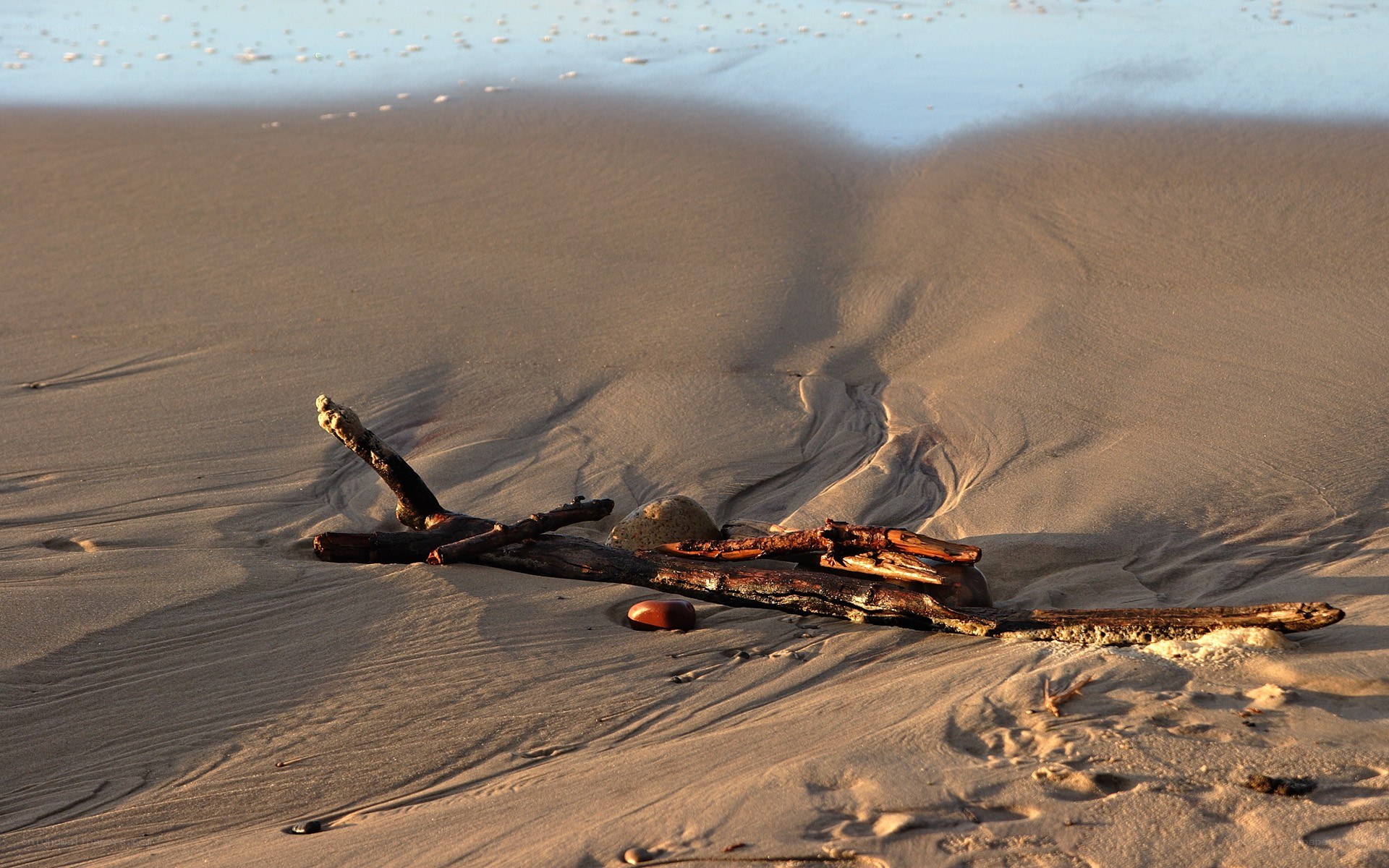Driftwood on a sandy beach