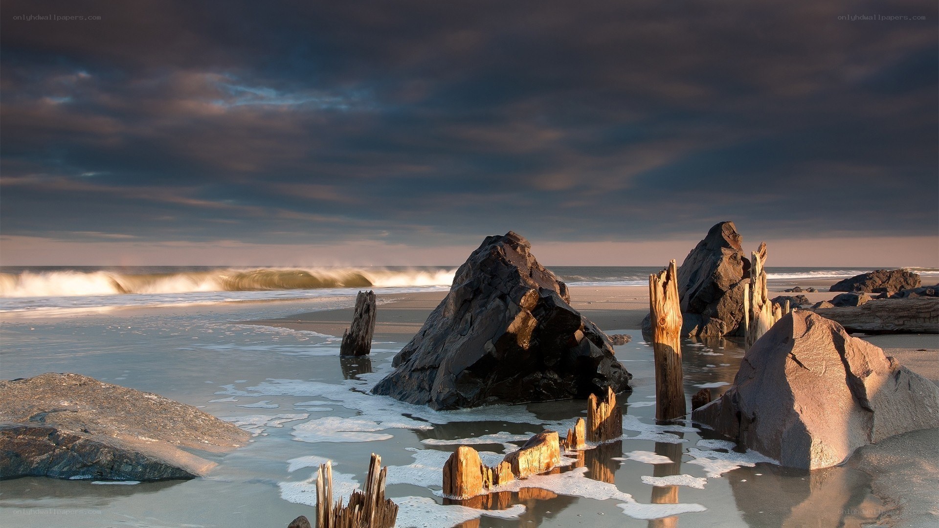 Driftwood on a stormy beach