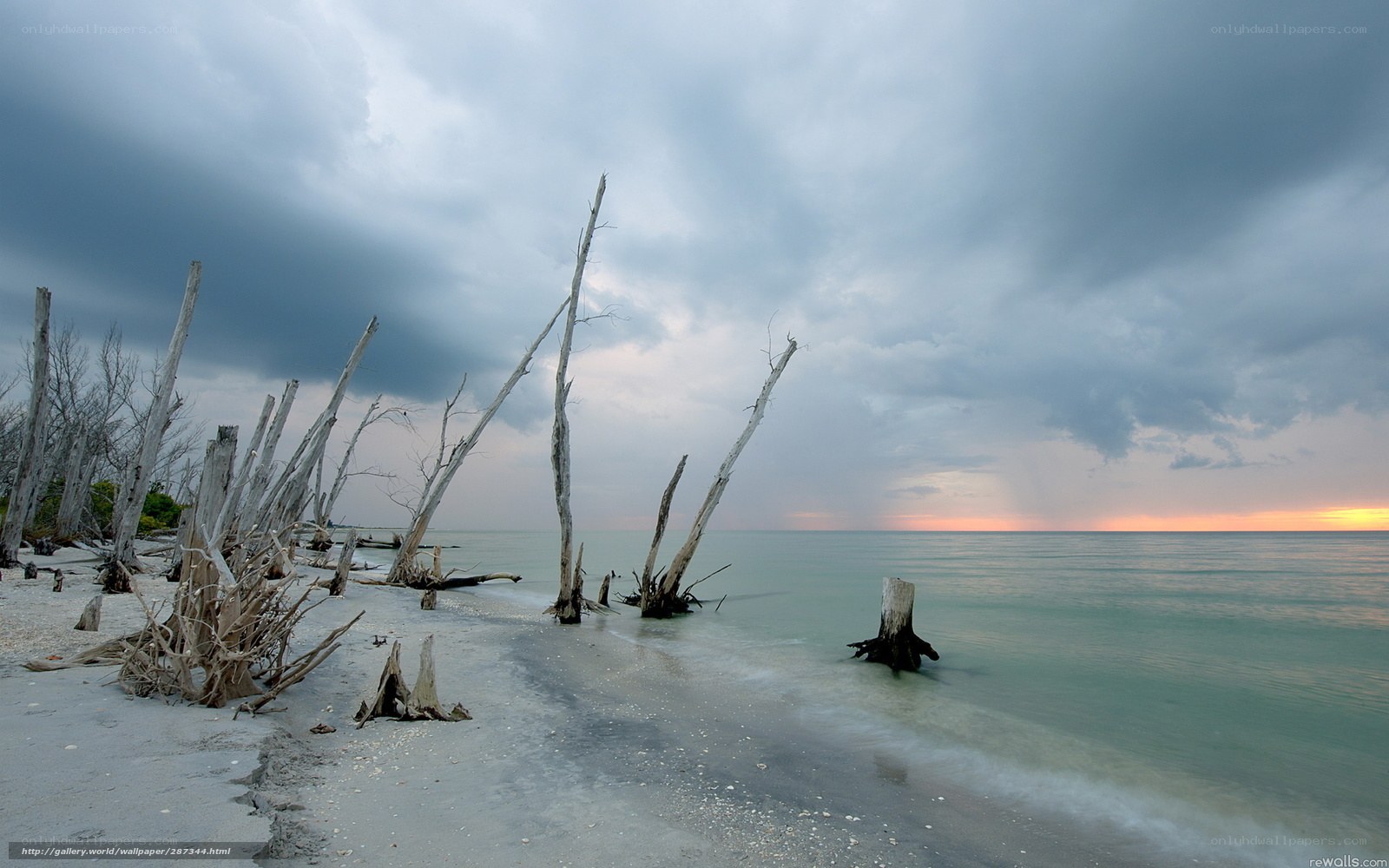 Driftwood on a stormy beach