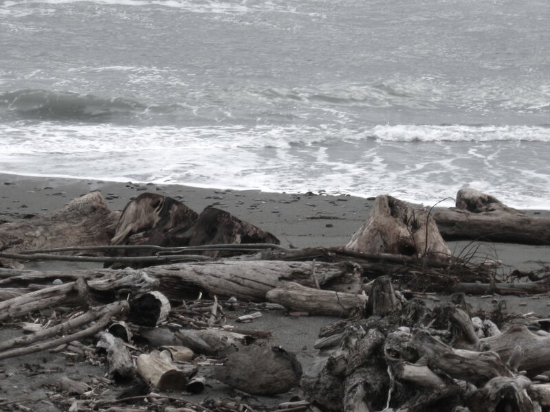 Driftwood on a stormy beach