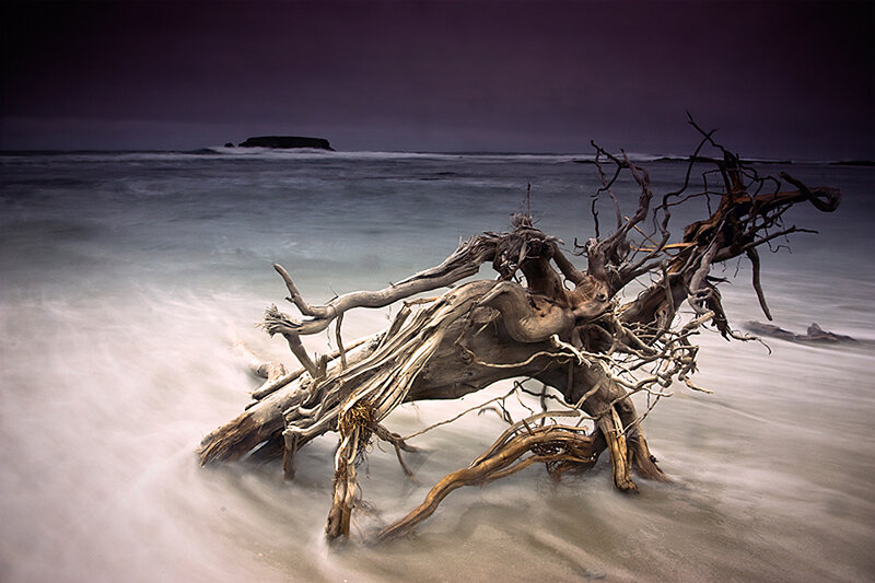 Driftwood on a stormy beach