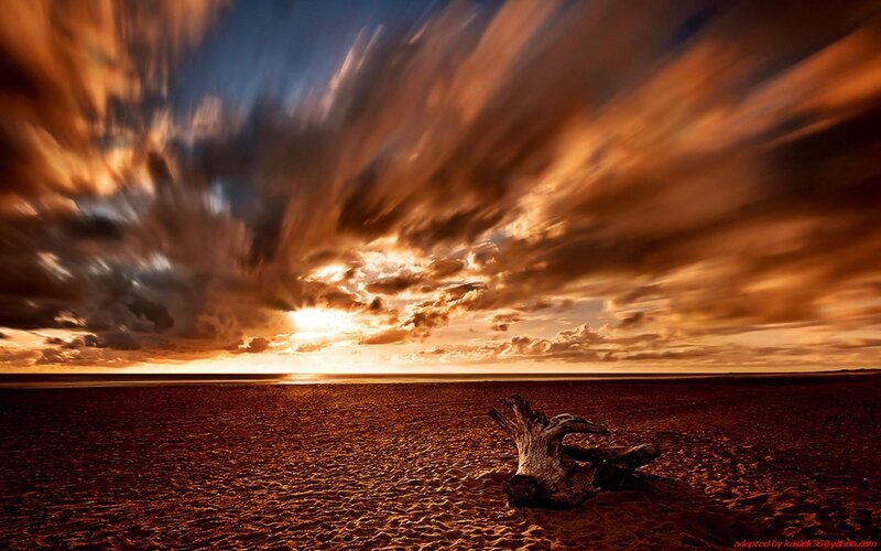 Driftwood on a stormy beach