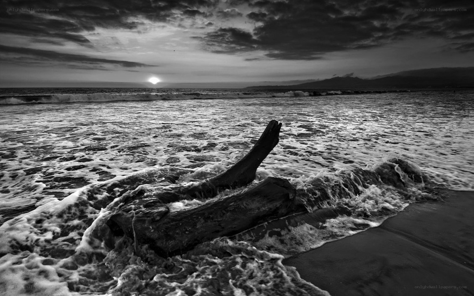 Driftwood on a stormy beach