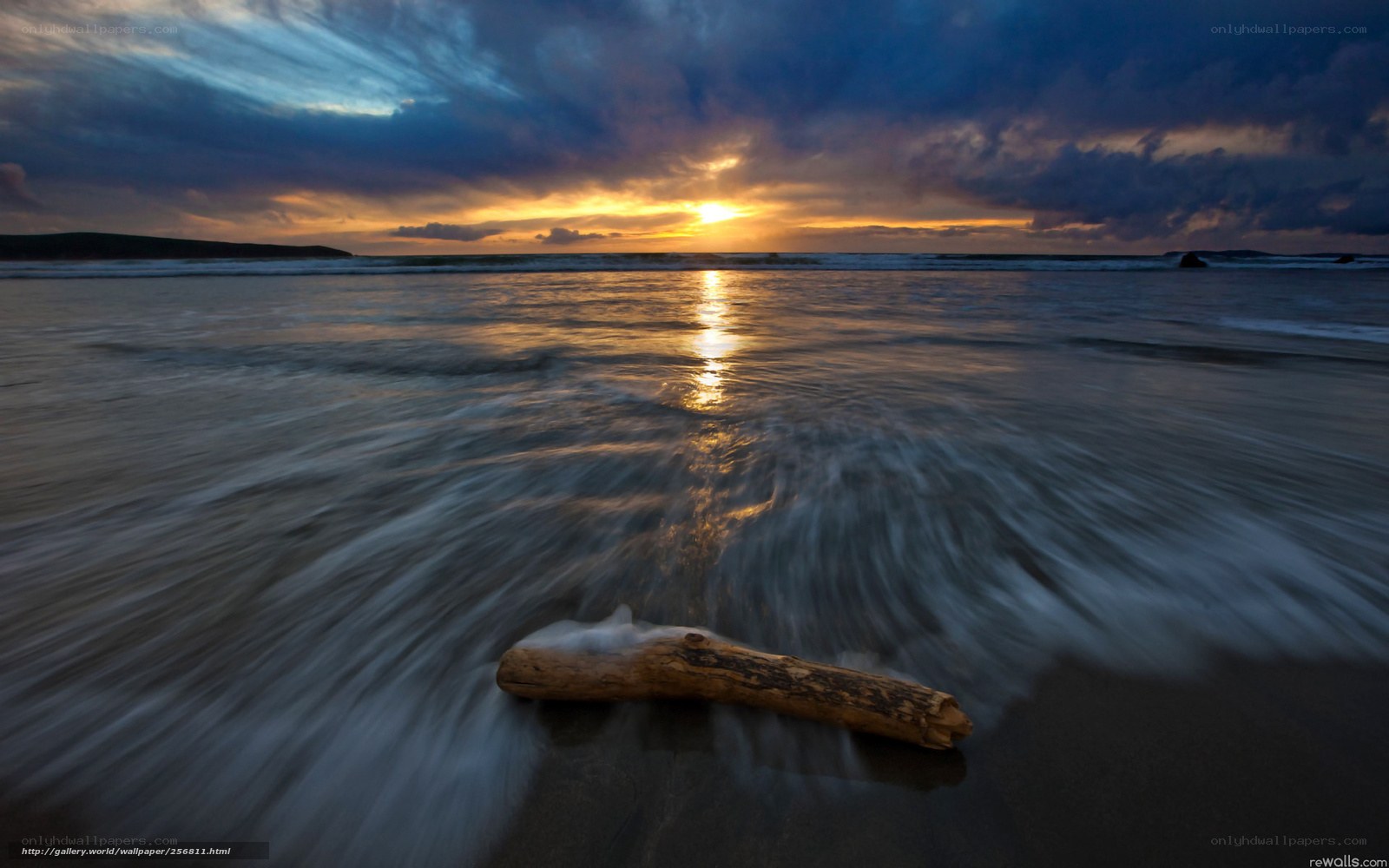 Driftwood on a stormy beach