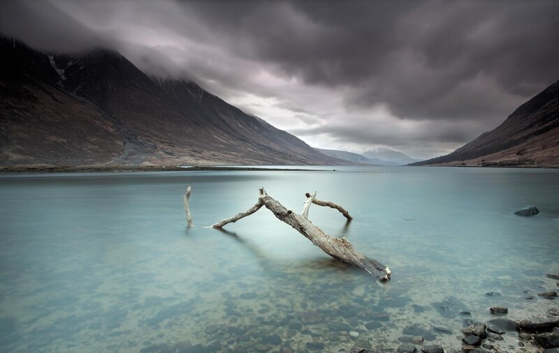 Driftwood on a stormy lake