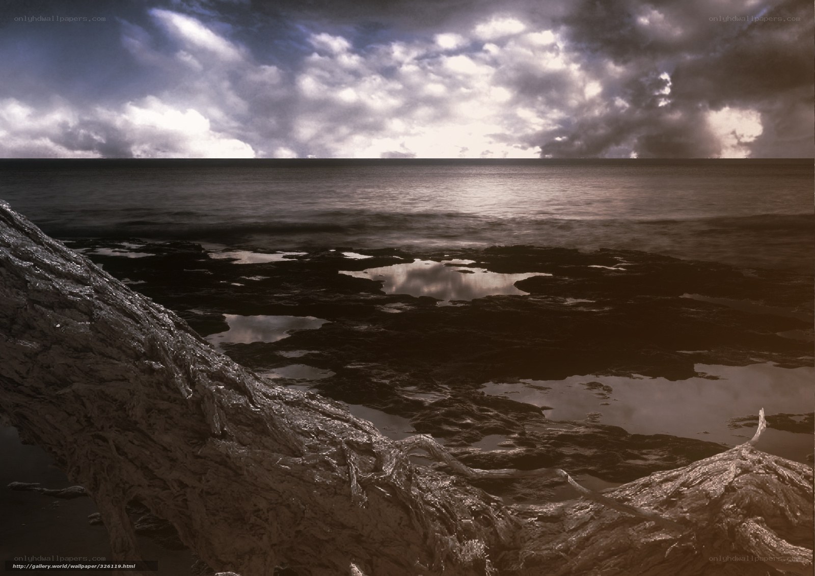 Driftwood on a stormy shore