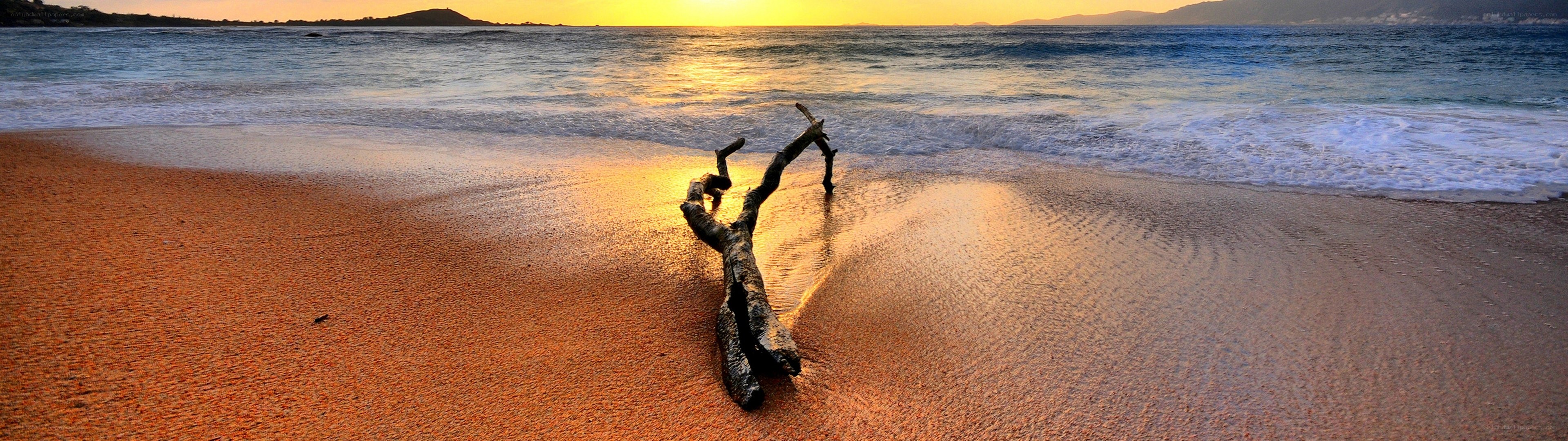 Driftwood on a sunset beach