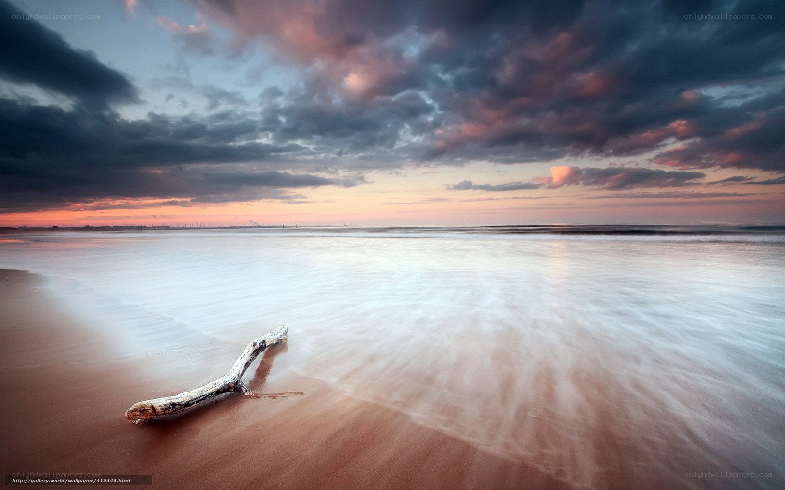 Driftwood on a tranquil beach