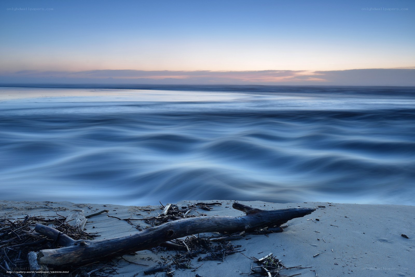Driftwood on a tranquil beach